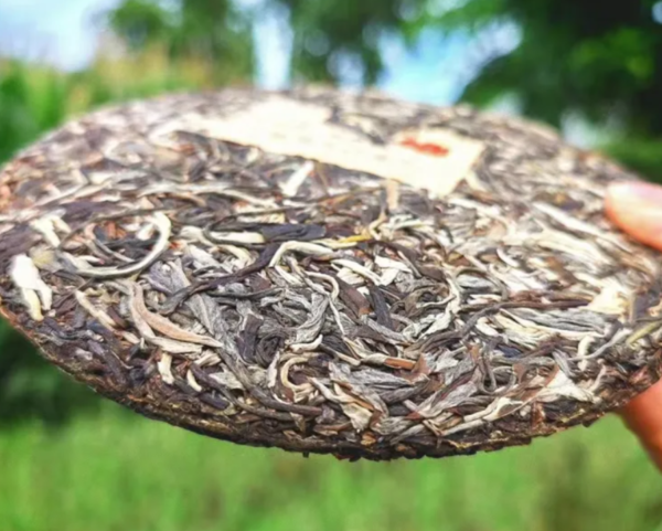 Yunnan Menghai Seven Piece Tea Cake, Shen, 357g, 2019 - Image 2